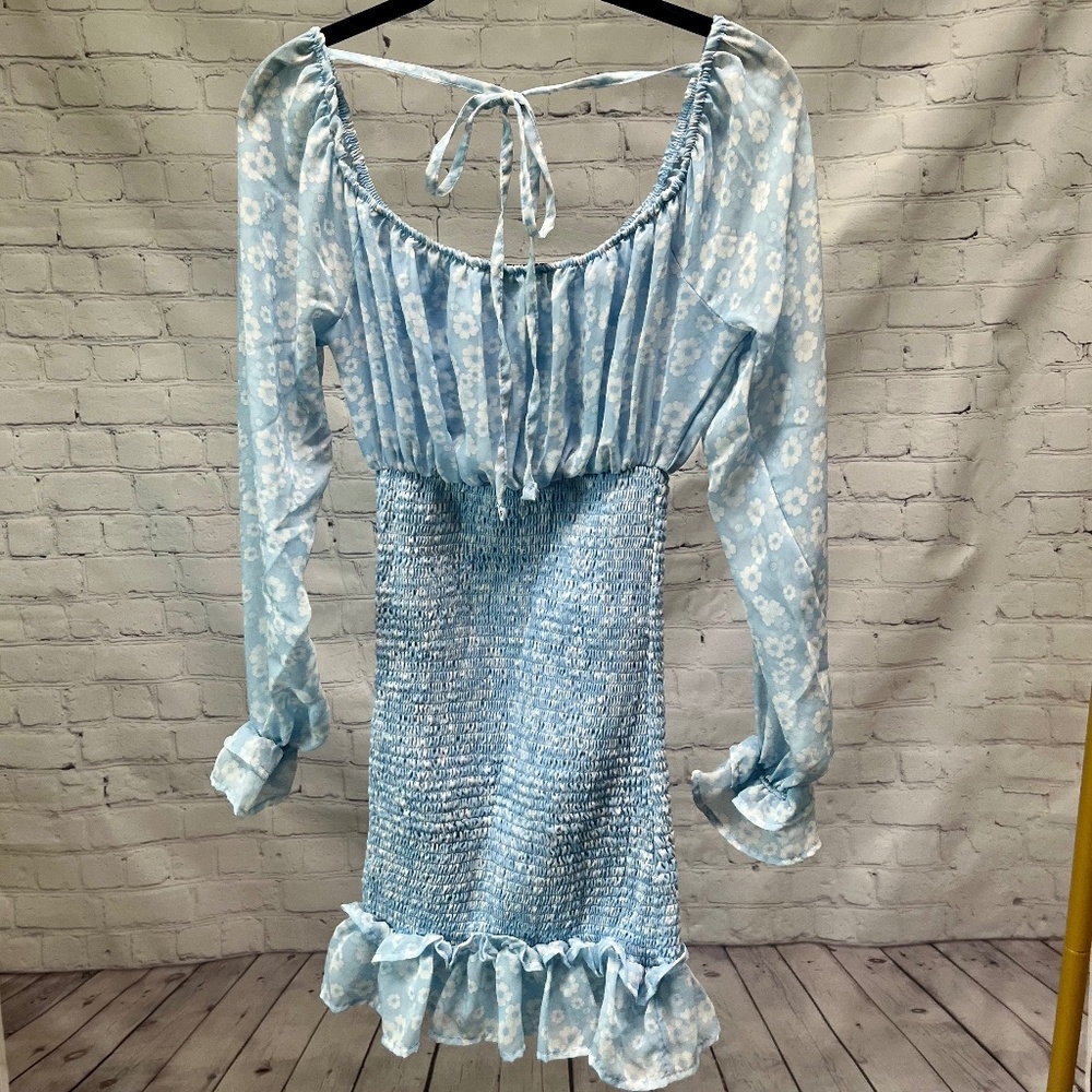 Vine & Valley Blue Floral Chiffon dress